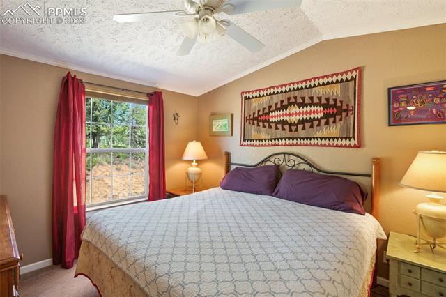 3576 Pathfinder Road Florissant, CO 80816 - Photo 24 of 44 Gallery Image 24