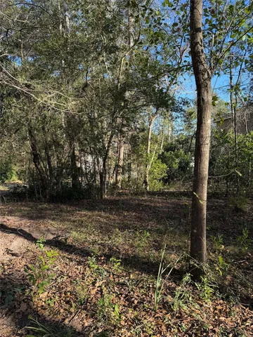 a view of a yard with plants and trees
