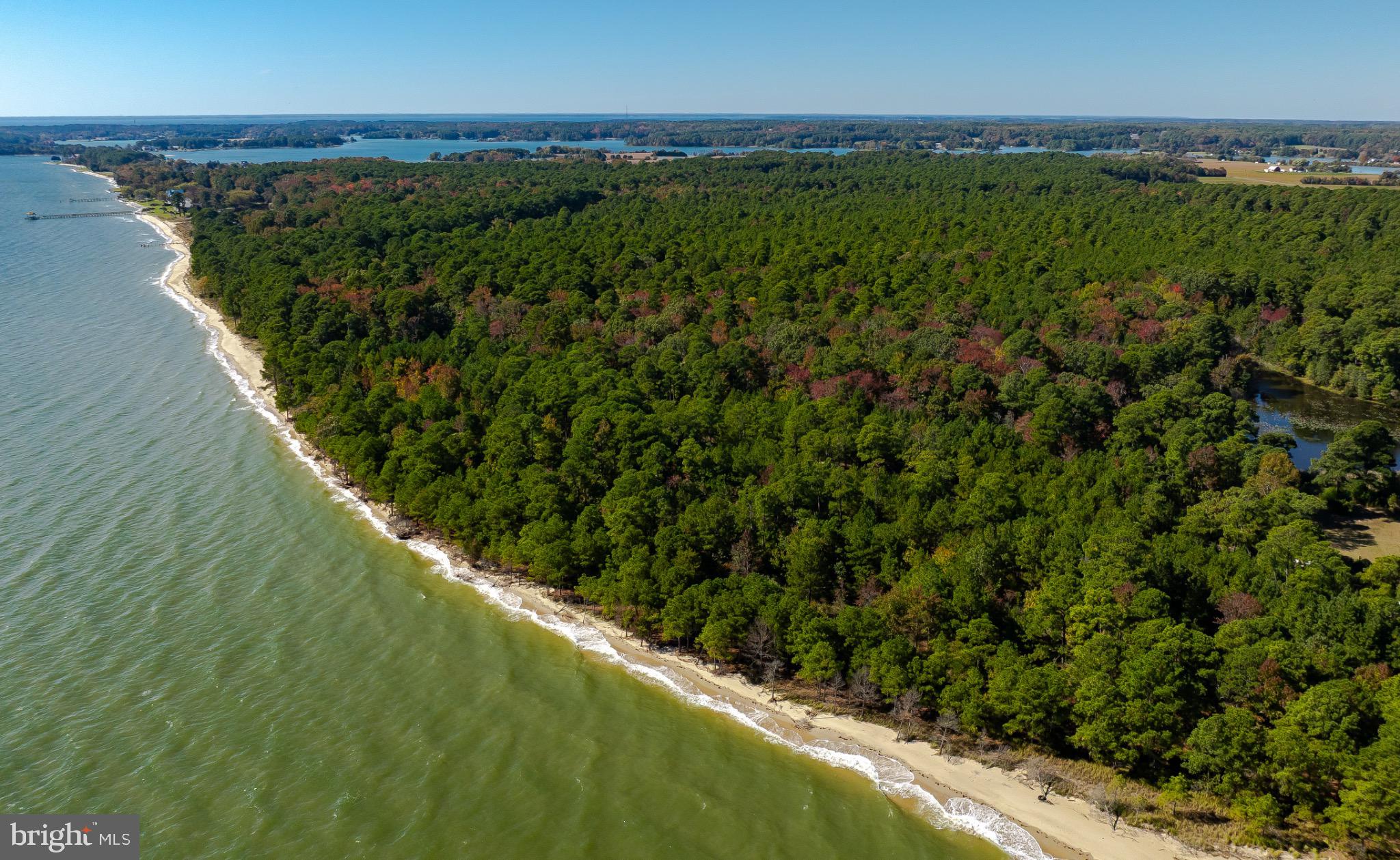 50645 Holly Point Road Dameron, MD 20628 - Photo 11 of 99