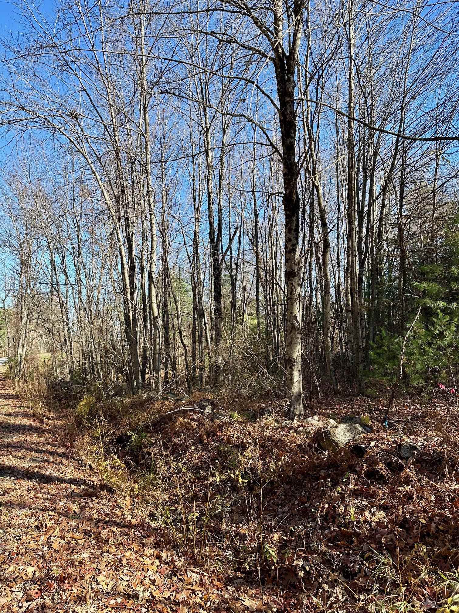2 Farmer Road, Unit 4B/1672 Merrimack, NH 03054 - Photo 3 of 18