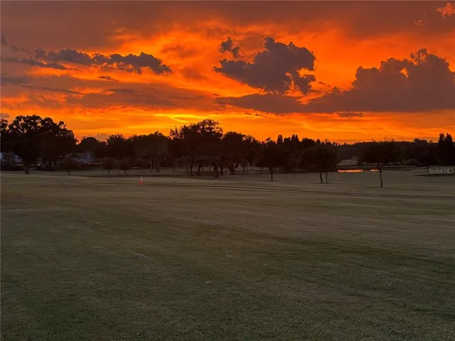 a view of a field with an ocean