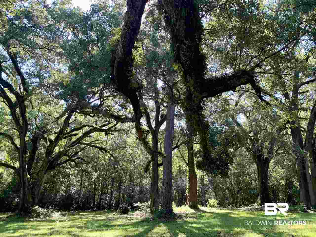 17071 County Road 52 Silverhill, AL 36576 - Photo 33 of 44 Rolling lot