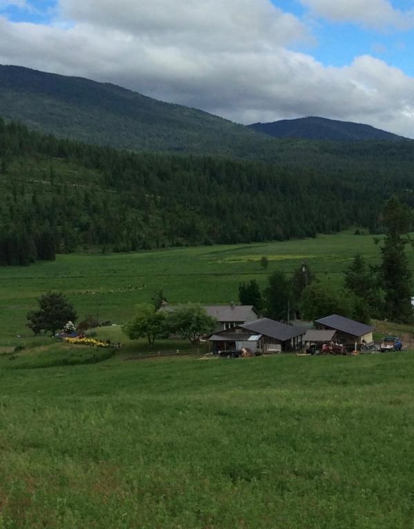 2610 Cedonia-Addy Road Addy, WA 99101 - Photo 6 of 15