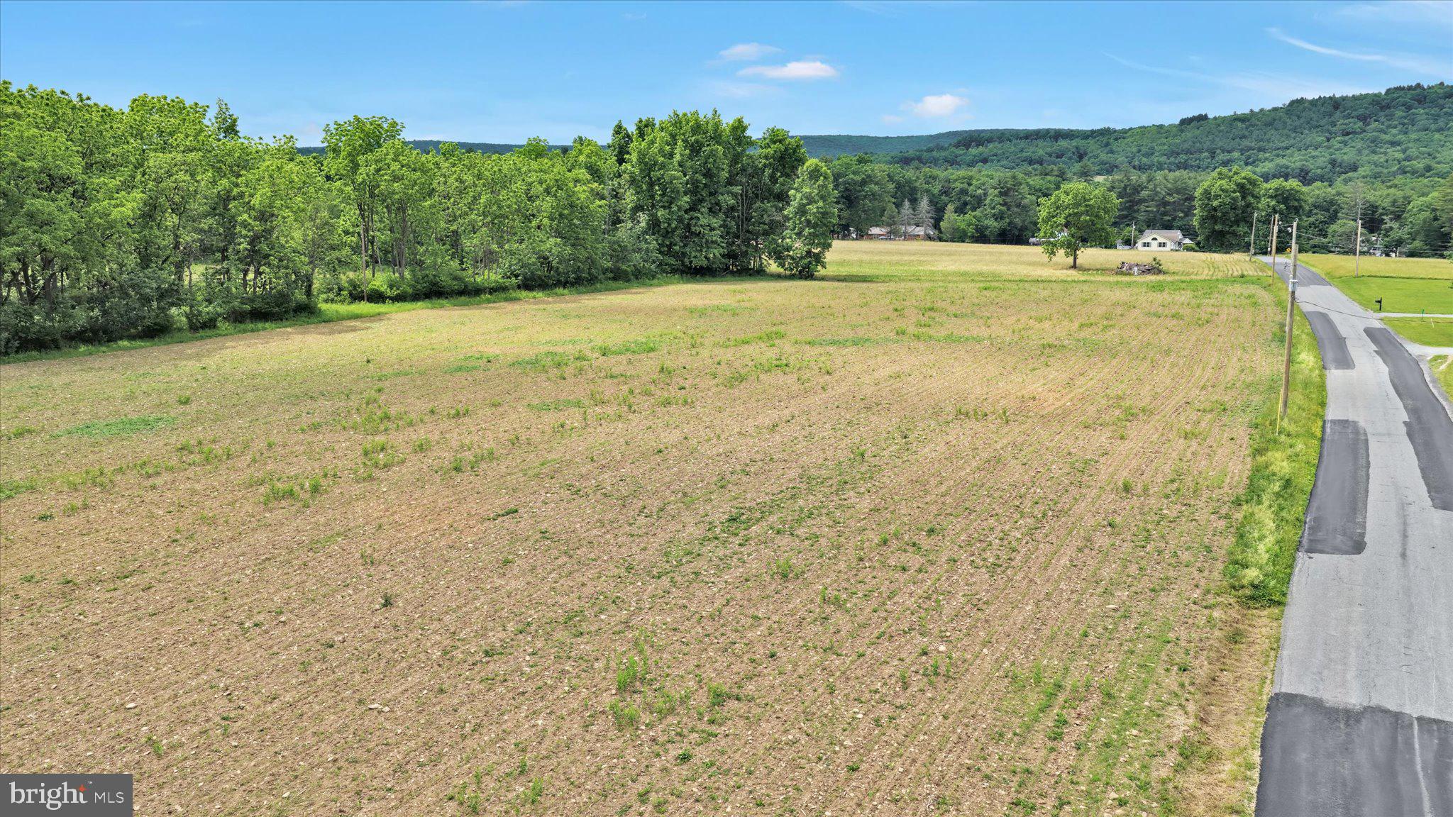 0 Fredericks Grove Road Lehighton, PA 18235 - Photo 13 of 14 Sprawling land with lush greenery.