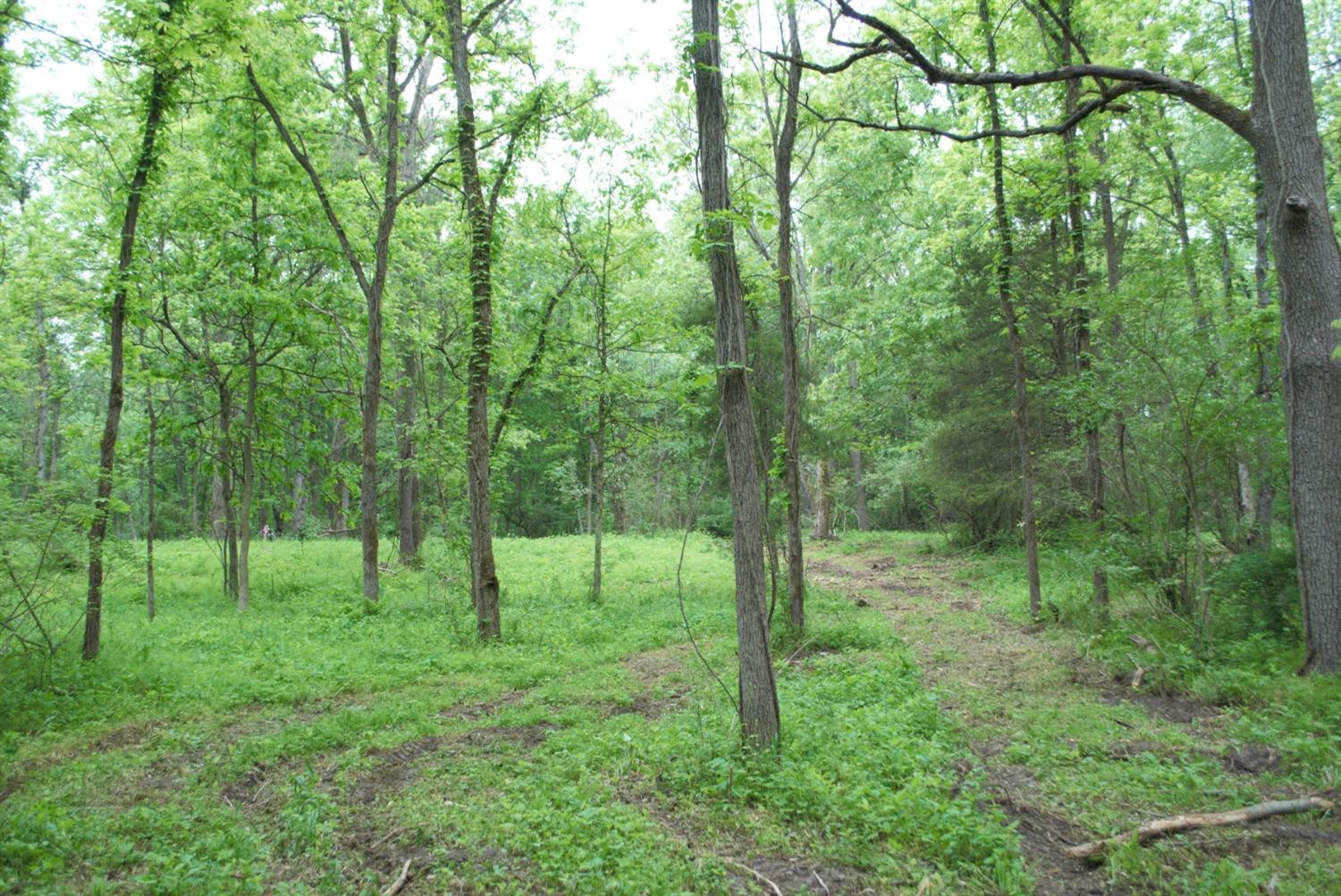 0 Parcel D Dexter Pinckney Road Dexter, MI 48130 - Photo 1 of 9 Photo 1