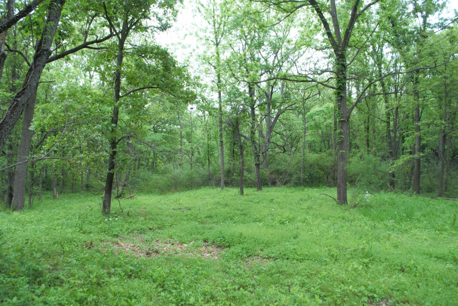 0 Parcel D Dexter Pinckney Road Dexter, MI 48130 - Photo 3 of 9 Photo 3