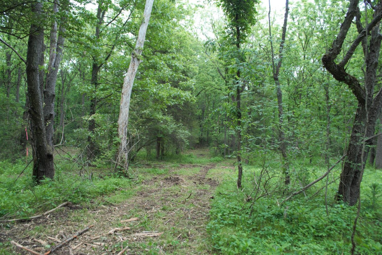 0 Parcel D Dexter Pinckney Road Dexter, MI 48130 - Photo 4 of 9 Photo 4