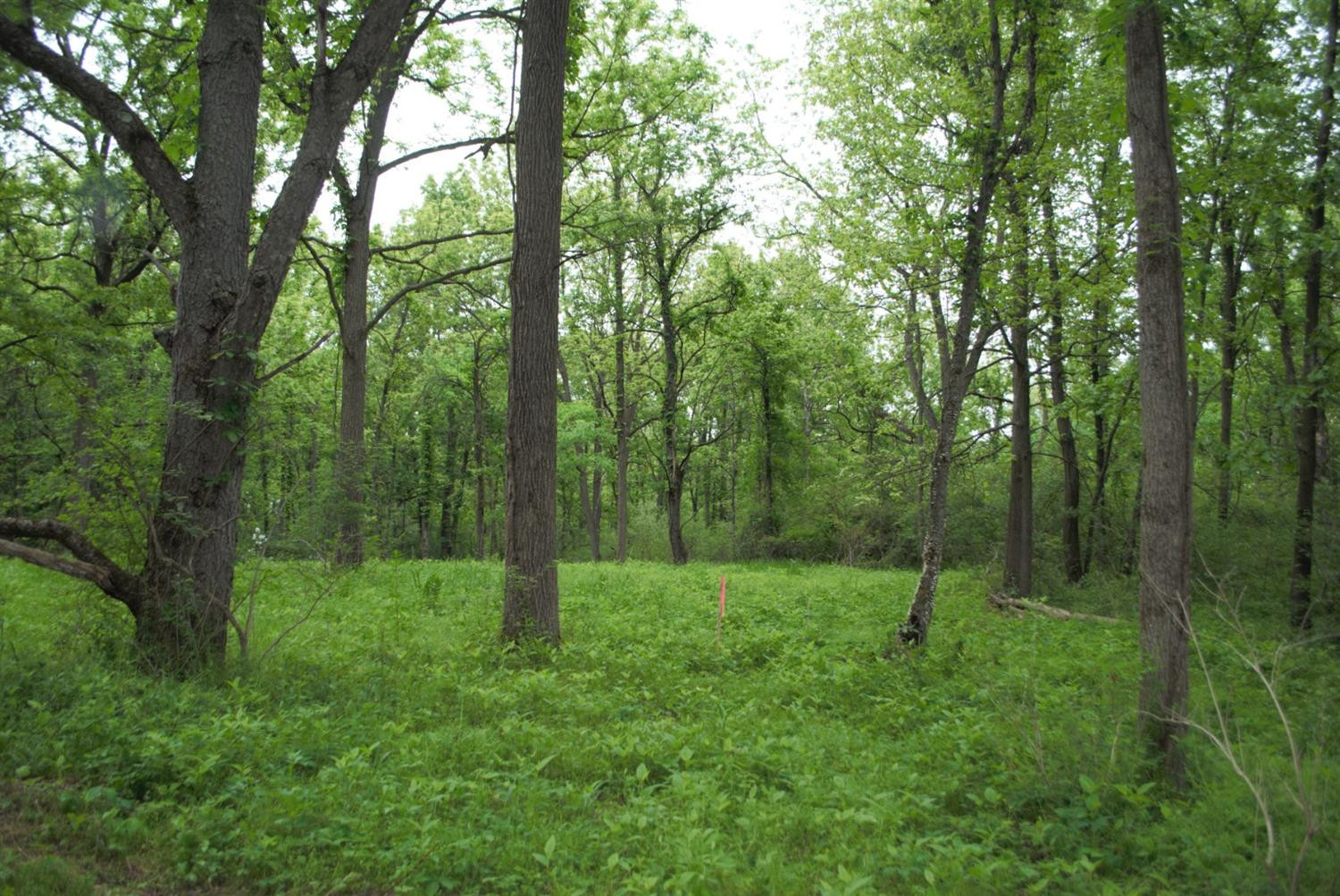 0 Parcel D Dexter Pinckney Road Dexter, MI 48130 - Photo 6 of 9 Photo 6