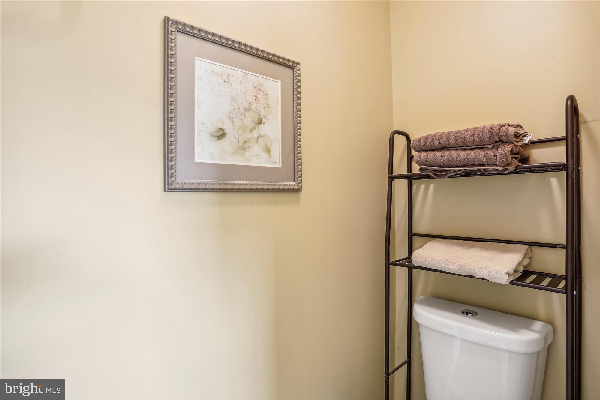 12206 Skylark Road Clarksburg, MD 20871 - Photo 54 of 88 Water Closet