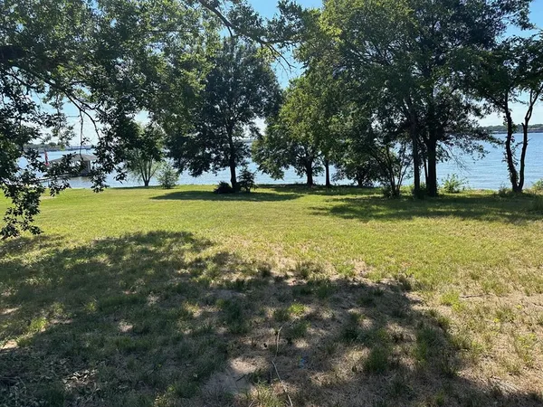 a view of a trees in a yard