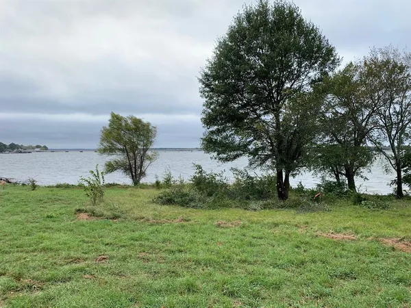 a big yard with lots of green space and deers