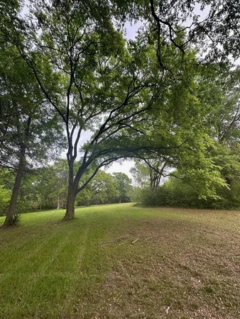 a view of outdoor space with deck and yard