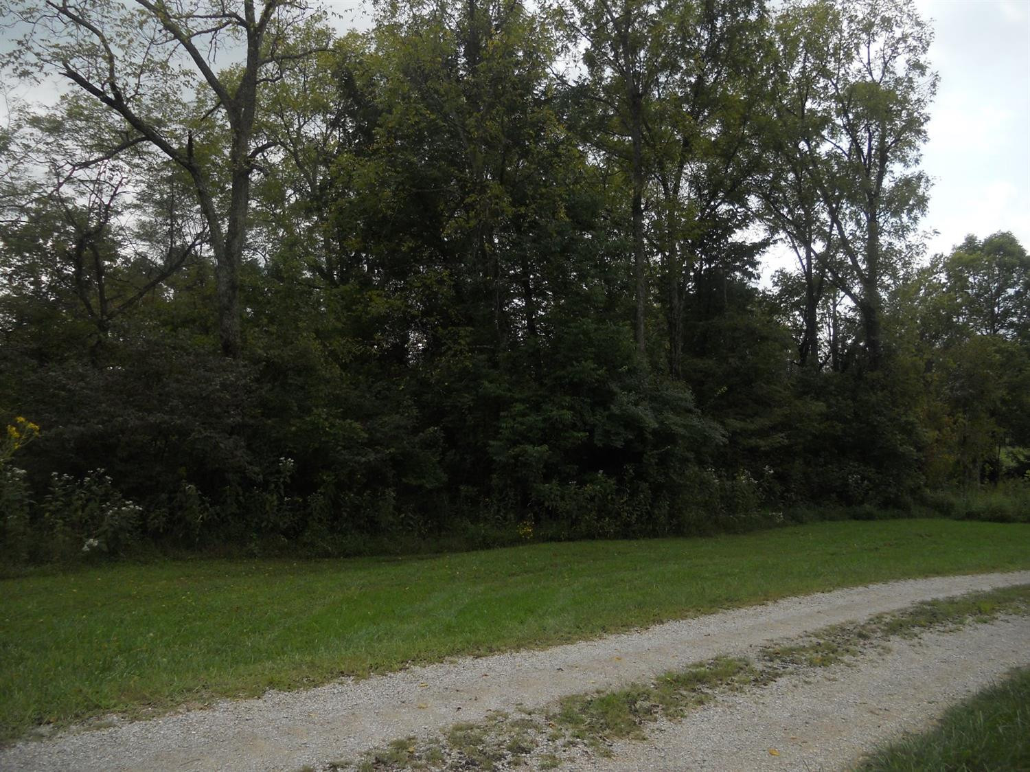 5 General Cable Road Lawrenceburg, KY 40342 - Photo 2 of 13 Photo 3