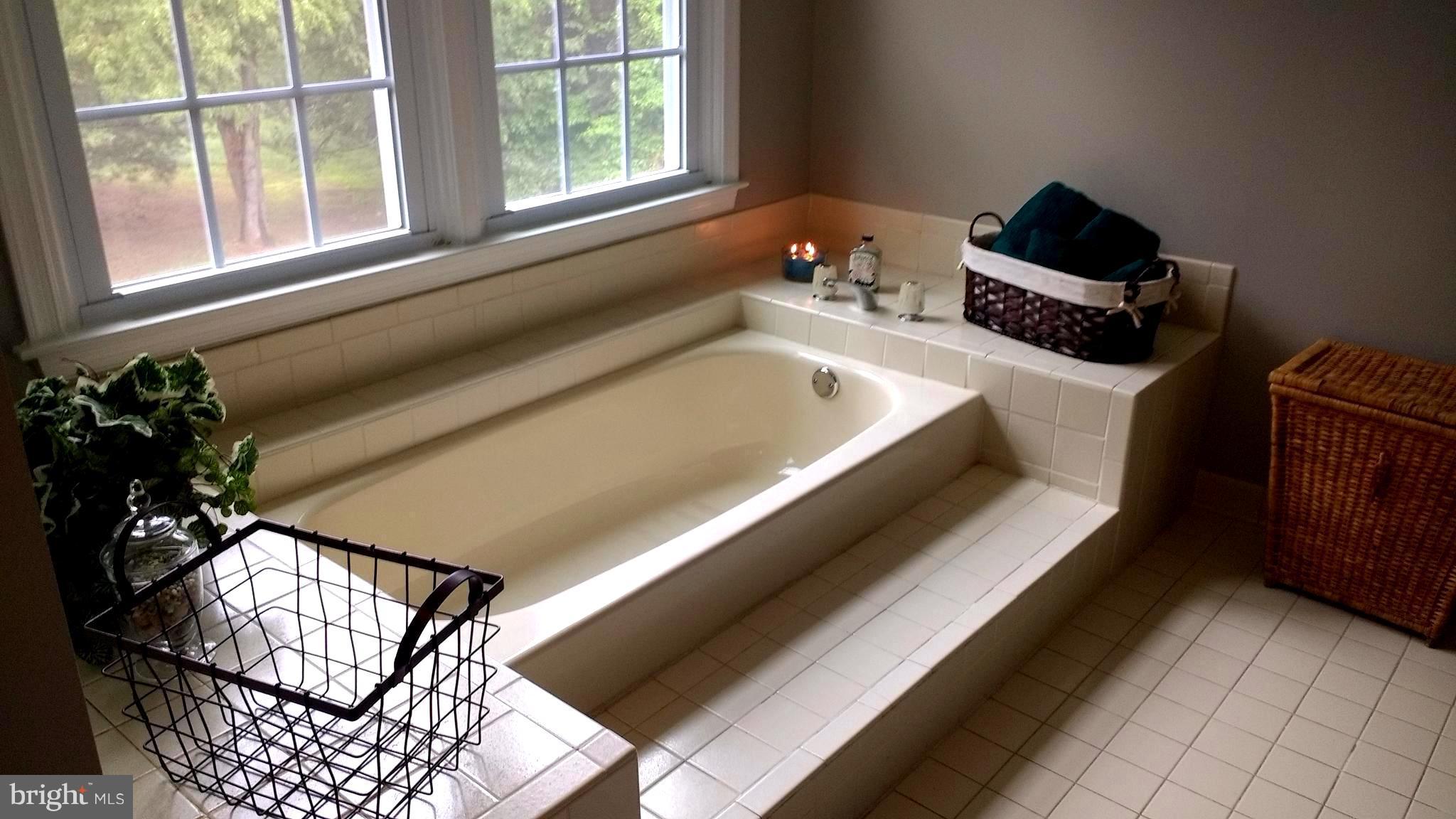 14710 Turkey Foot Road Gaithersburg, MD 20878 - Photo 11 of 28 Master Bath