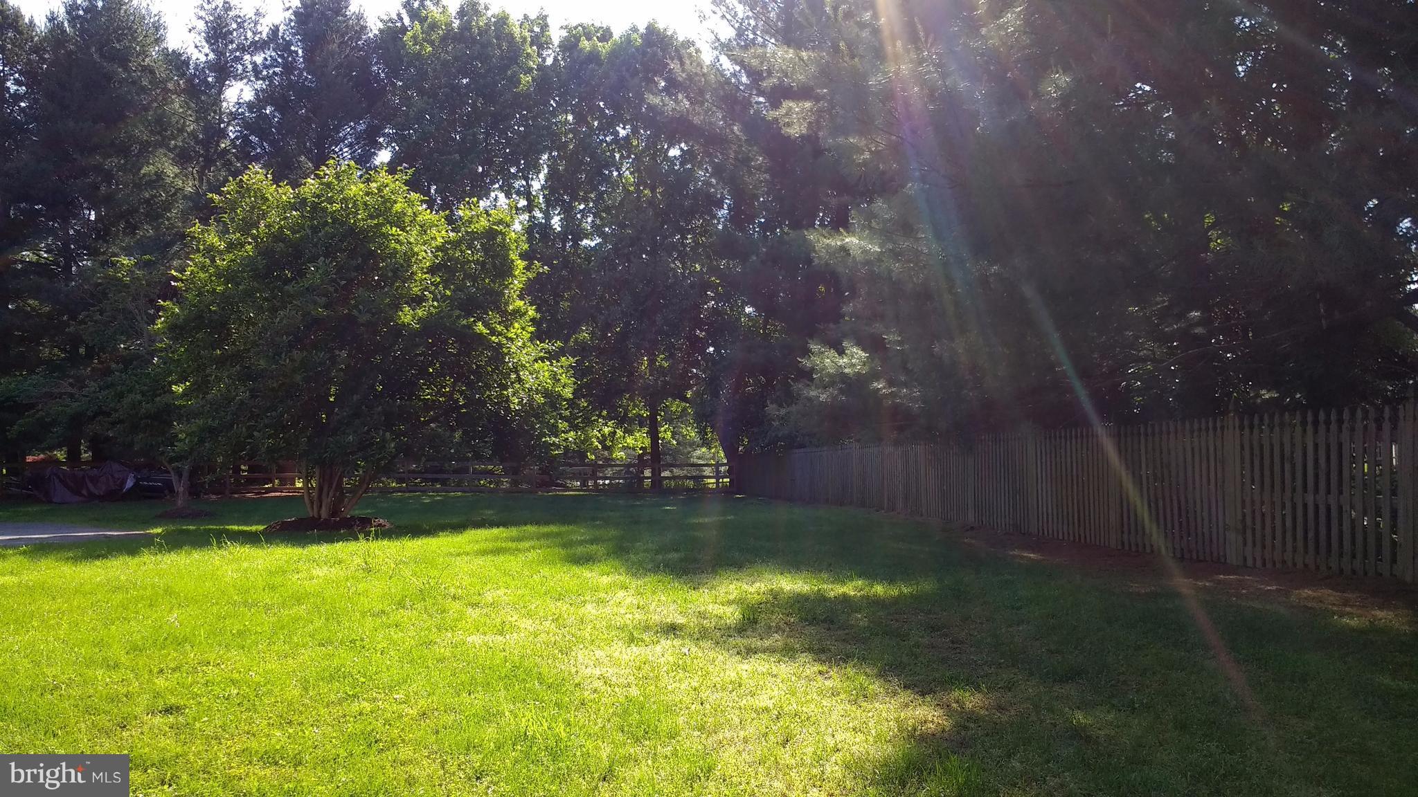 14710 Turkey Foot Road Gaithersburg, MD 20878 - Photo 28 of 28 Front Yard