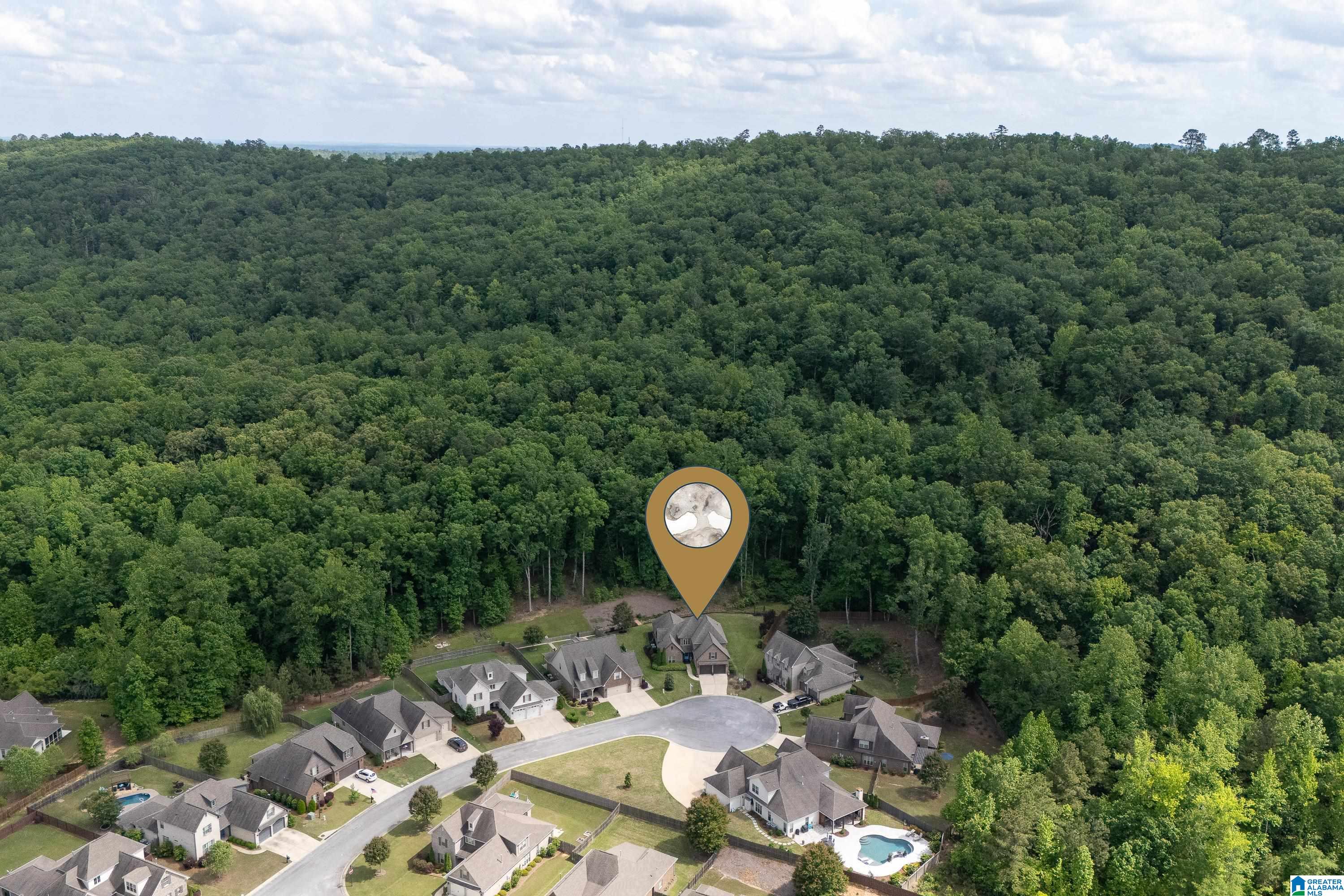 533 Kirkwall Circle Pelham, AL 35124 - Photo 56 of 59