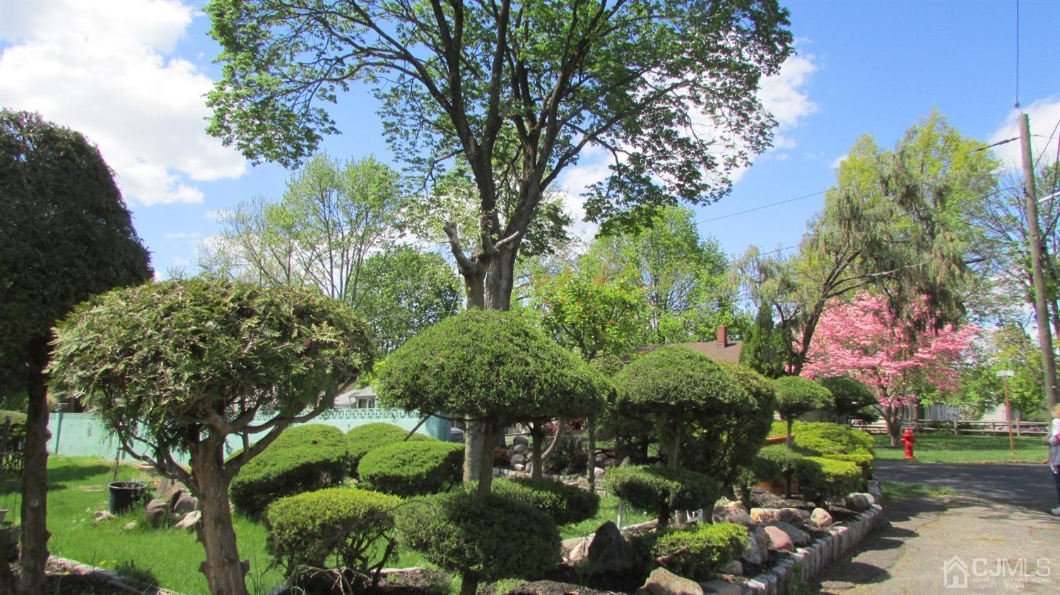19 Hillsdale Road Edison, NJ 08820 - Photo 2 of 13 a picture of trees
