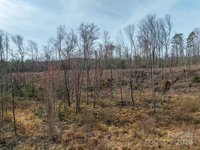 $140,000 | 0 North Nc Highway, Vale, NC 28168