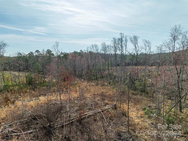 $140,000 | 0 North Nc Highway, Vale, NC 28168