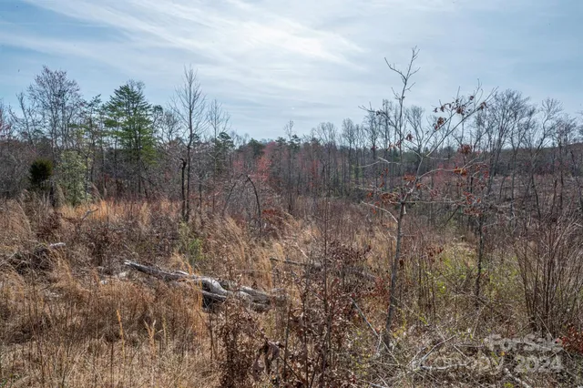 $140,000 | 0 North Nc Highway, Vale, NC 28168