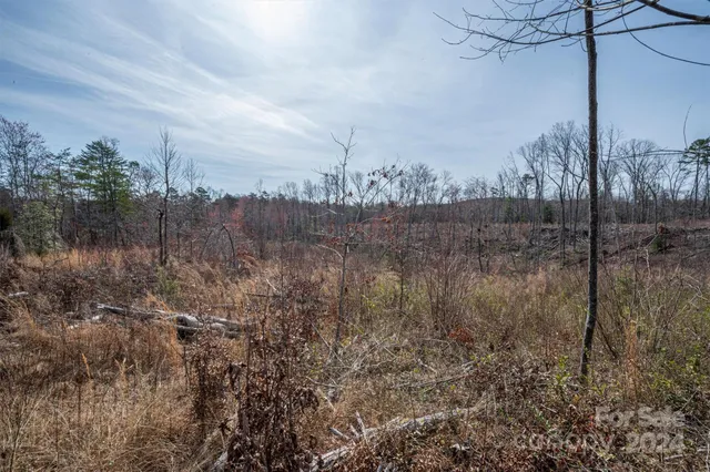 $140,000 | 0 North Nc Highway, Vale, NC 28168