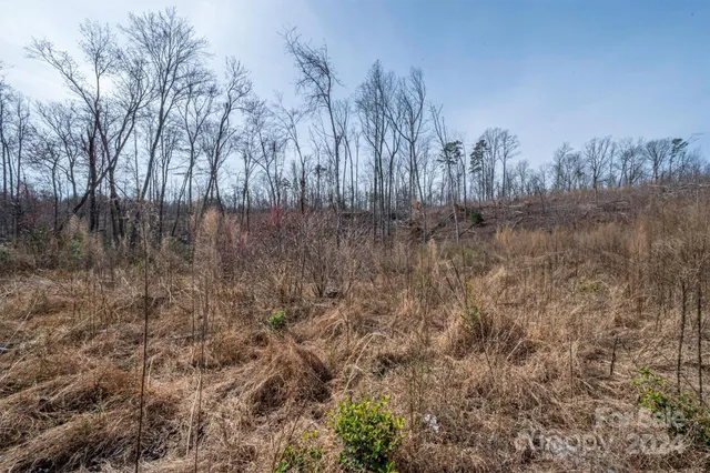 $140,000 | 0 North Nc Highway, Vale, NC 28168