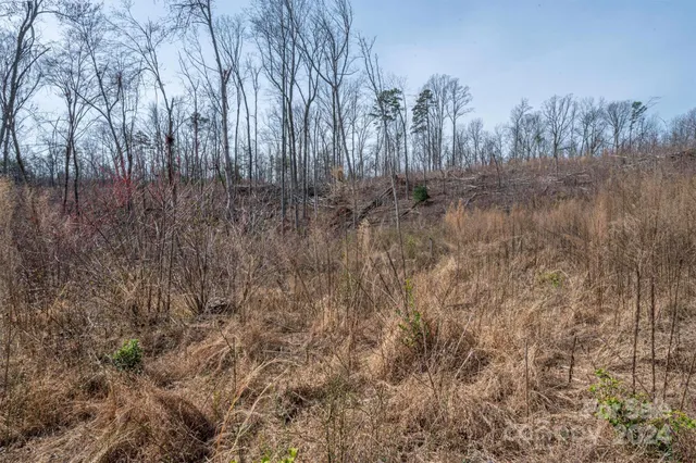 $140,000 | 0 North Nc Highway, Vale, NC 28168