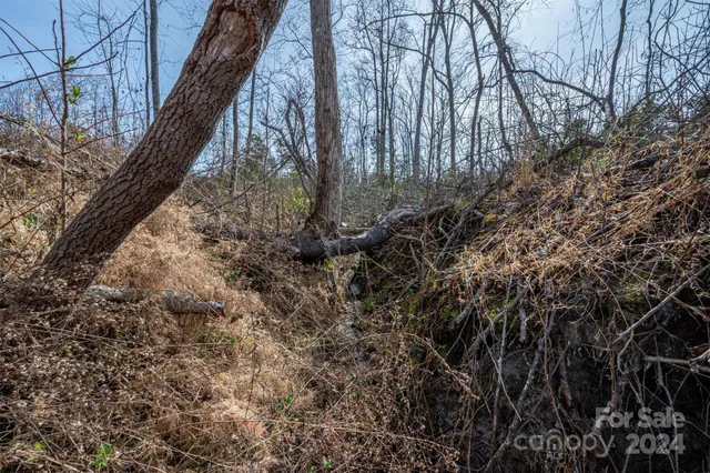 $140,000 | 0 North Nc Highway, Vale, NC 28168