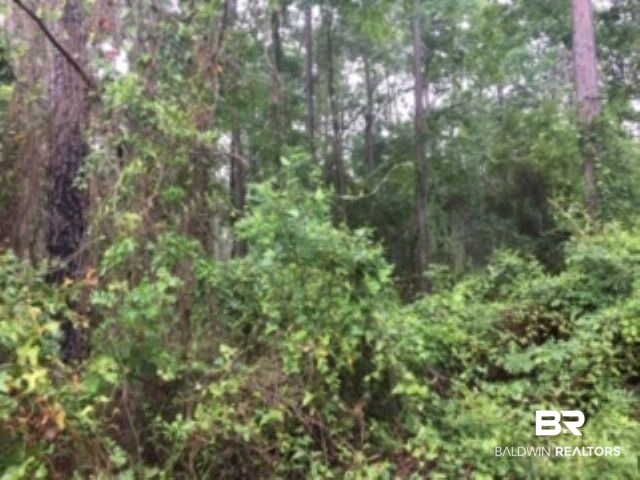 Lot 93 Bay Road Foley, AL 36535 - Photo 1 of 1 Gallery Image 1