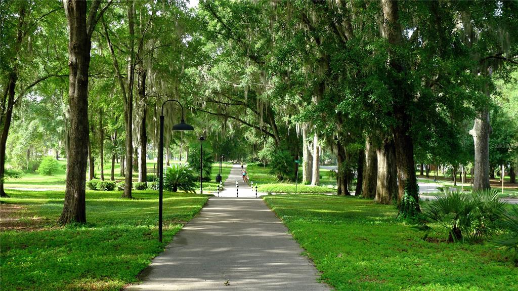 13485 Southwest 9th Road Newberry, FL 32669 - Photo 3 of 6 a park view with large trees
