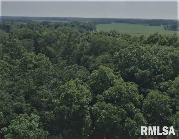 an aerial view of a city with lots of residential buildings and green space