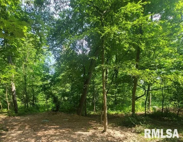 a backyard of a house with lots of trees