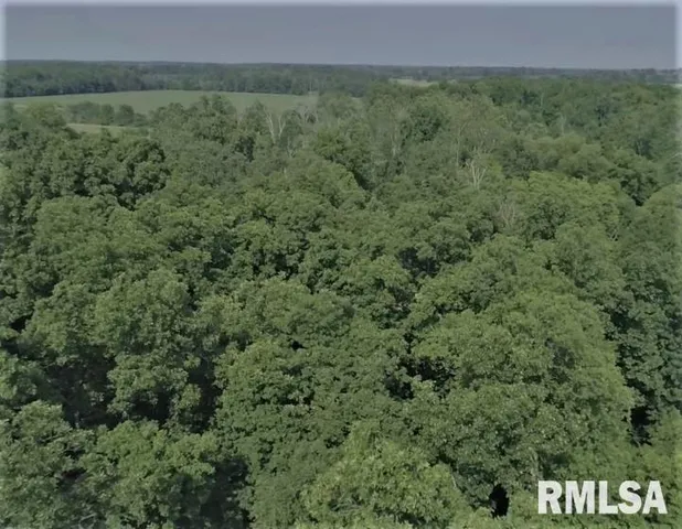 a view of a field of grass and trees