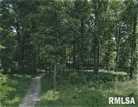 a view of outdoor space and green space
