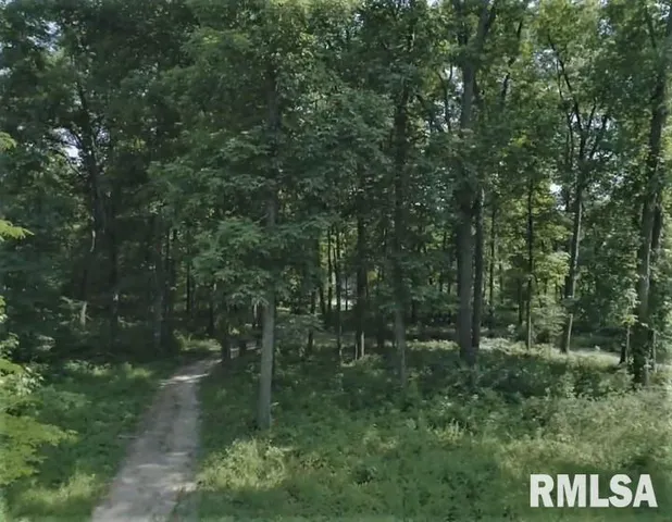 a view of outdoor space and green space