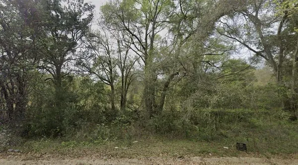 $11,400 | 305 Milton Avenue, Interlachen, FL 32148