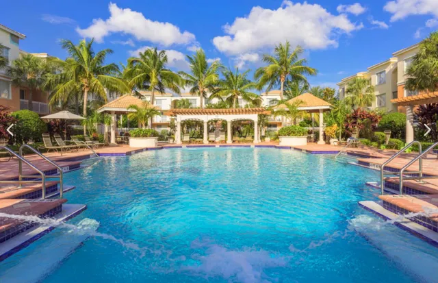 a view of a swimming pool with a lawn chairs under an umbrella with palm trees
