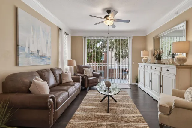 a living room with furniture a rug potted plant and a large window