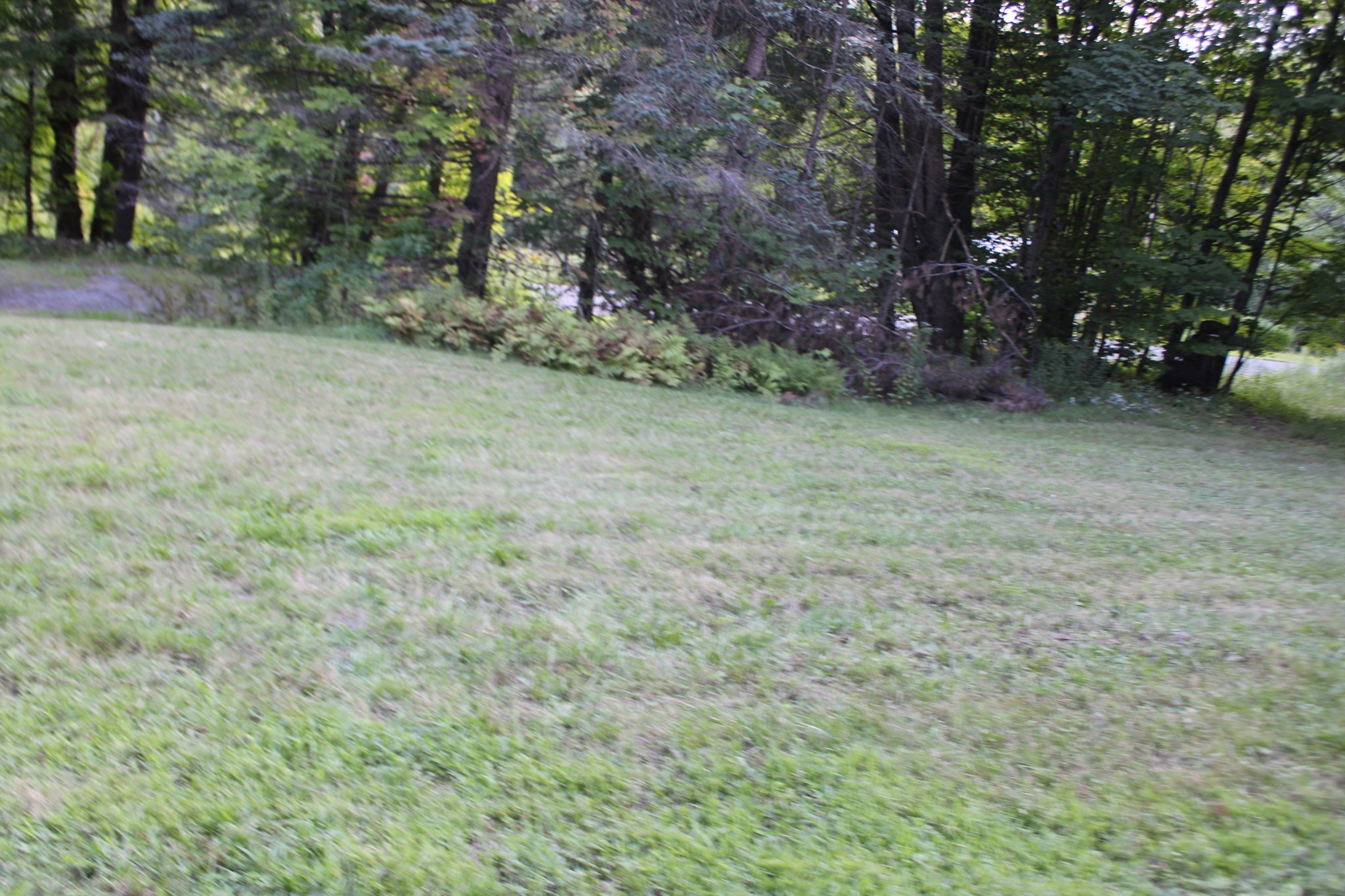 45 Dwight Cross Road Colrain, MA 01340 - Photo 22 of 28 Gallery Image 22