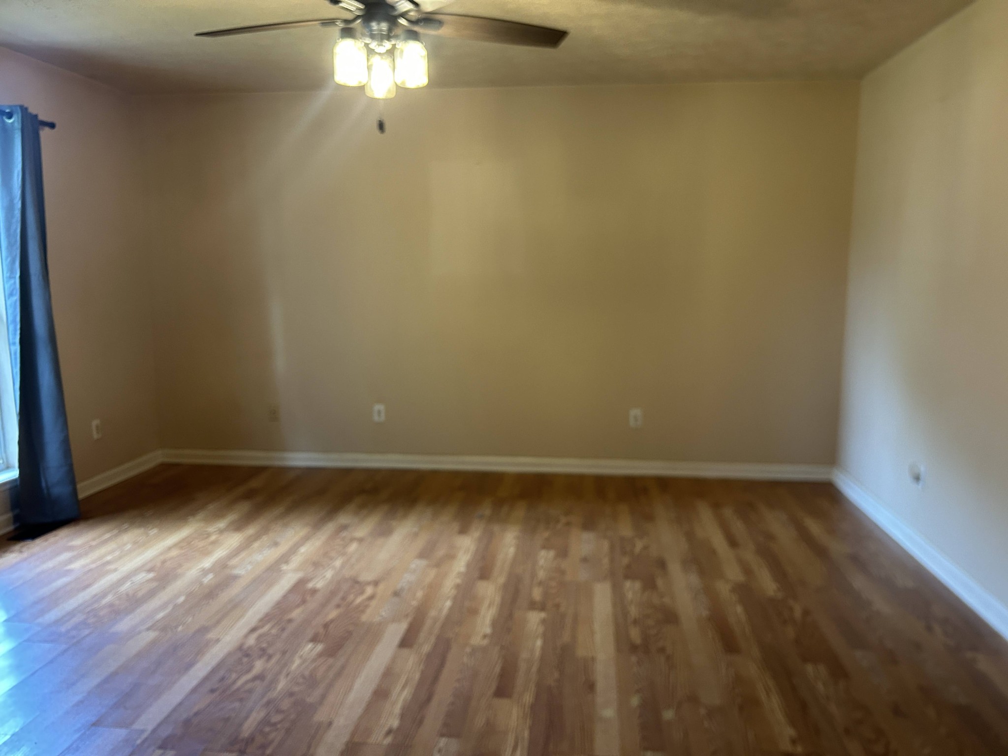 Gallery Image 6