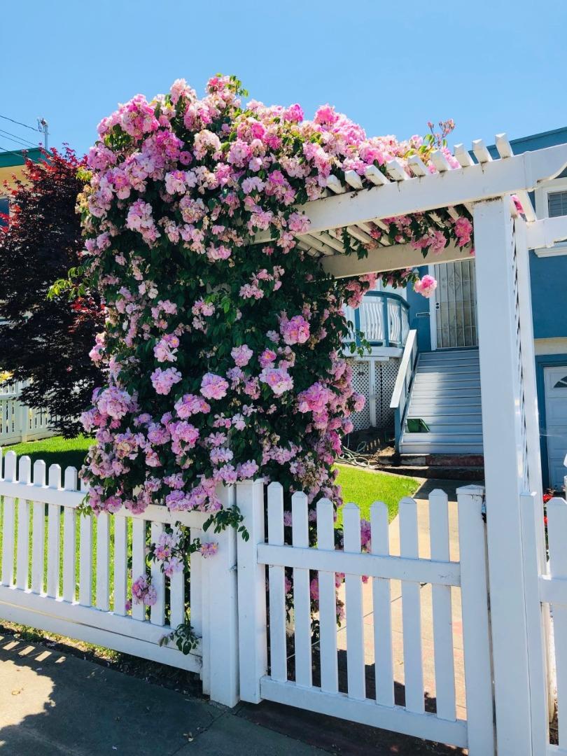2933 Hardeman Street Hayward, CA 94541 - Photo 17 of 35 a store room with lots of different kinds of flowers