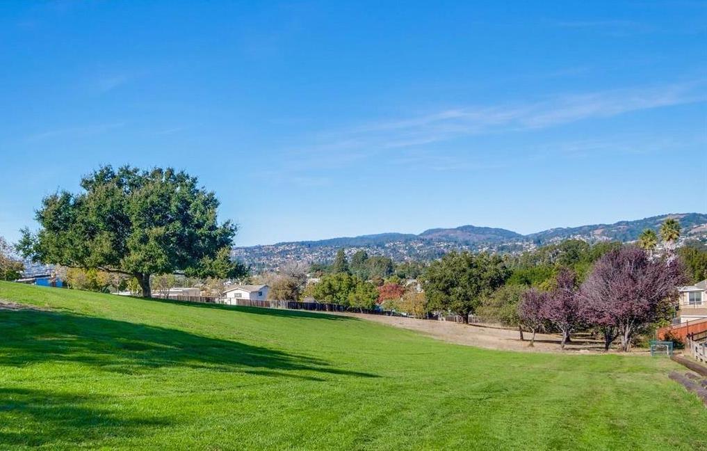 2933 Hardeman Street Hayward, CA 94541 - Photo 33 of 35 a view of an mountain with outdoor space yard