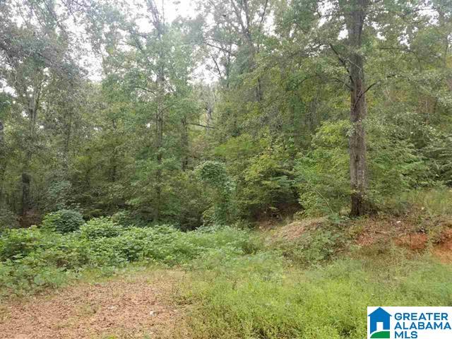 4436 Brookside Cardiff Road, Unit 1 Graysville, AL 35073 - Photo 1 of 1