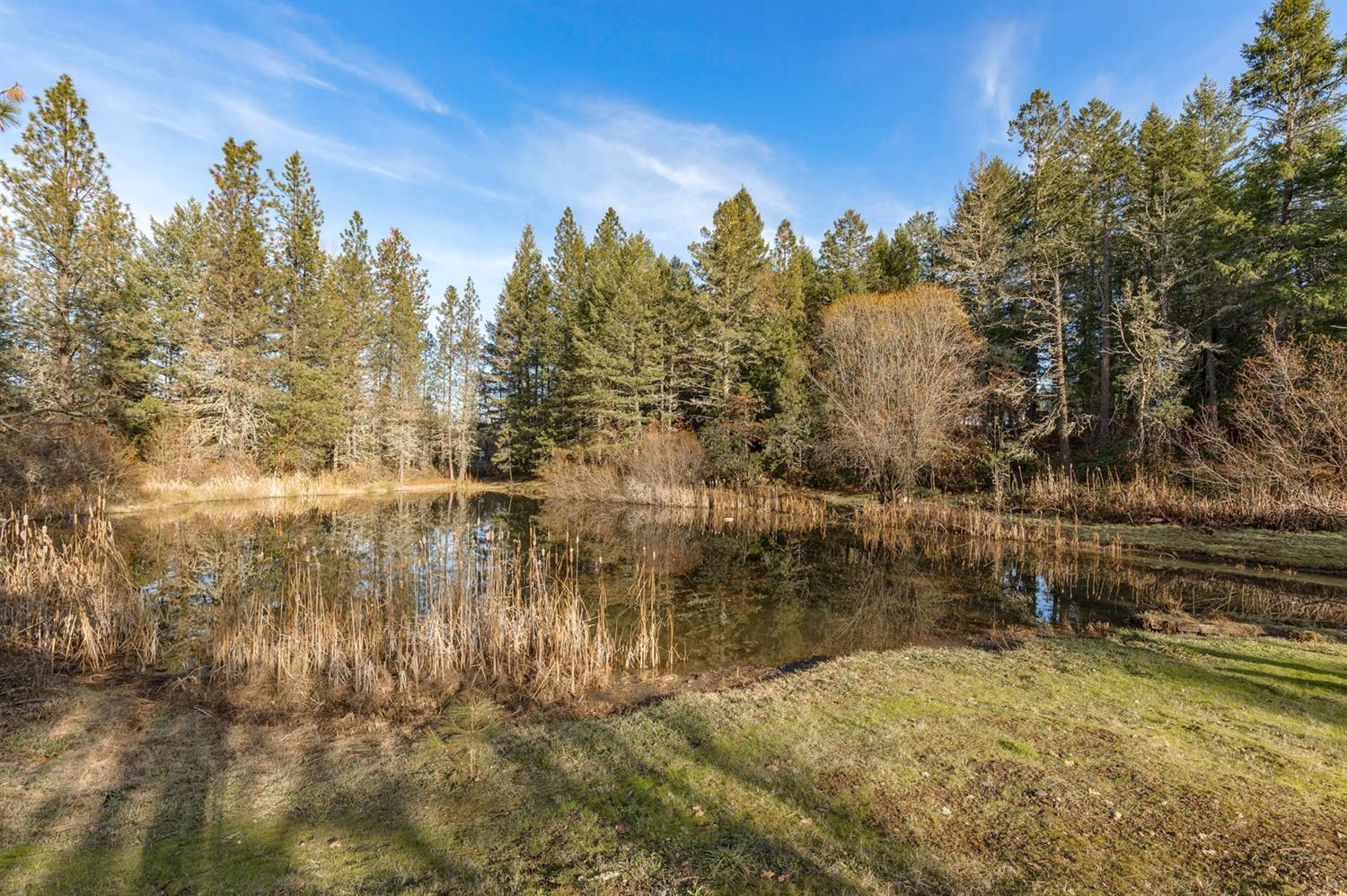 489 Derby Road Eagle Point, OR 97524 - Photo 6 of 27 Additional Photo
