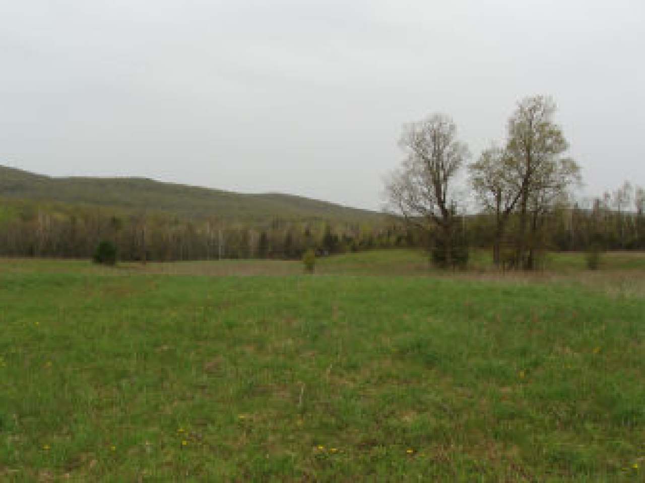 74602 Flesia Road Mellen, WI 54546 - Photo 21 of 39 Gallery Image 21