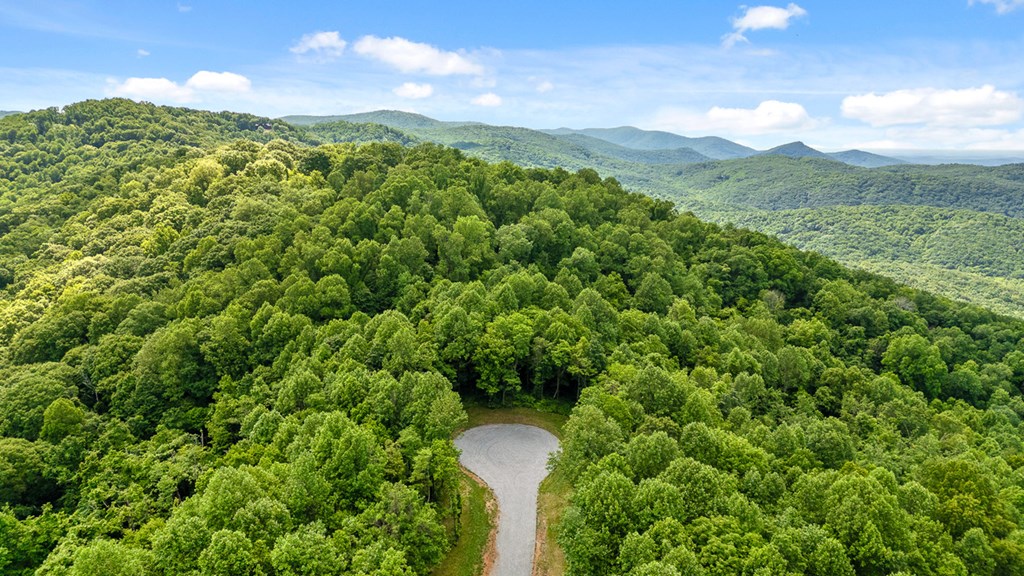 Lot 377 Calloway Mountain Road Talking Rock, GA 30175 - Photo 2 of 25