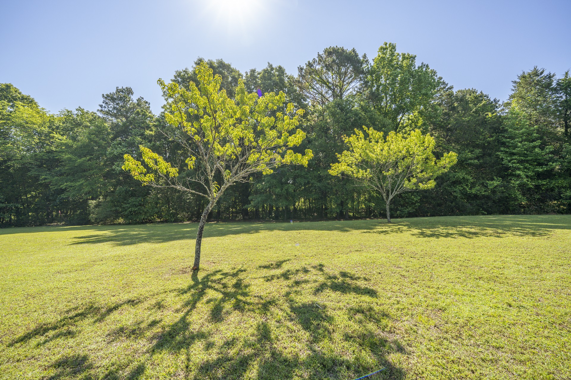1125 Clifft Road Bolivar, TN 38008 - Photo 52 of 78