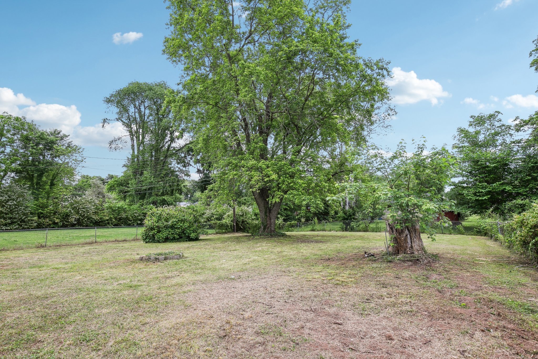 144 Airport Road Clarksville, TN 37042 - Photo 48 of 49 a view of a field with trees in background
