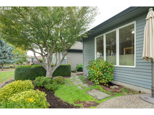 a view of backyard with potted plants and large tree