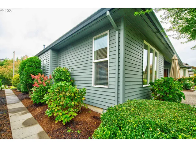 a view of a backyard with plants